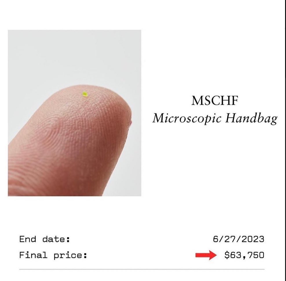 hidden.ny@instagram on Pinno: The MSCHF “Microscopic Handbag” Sold