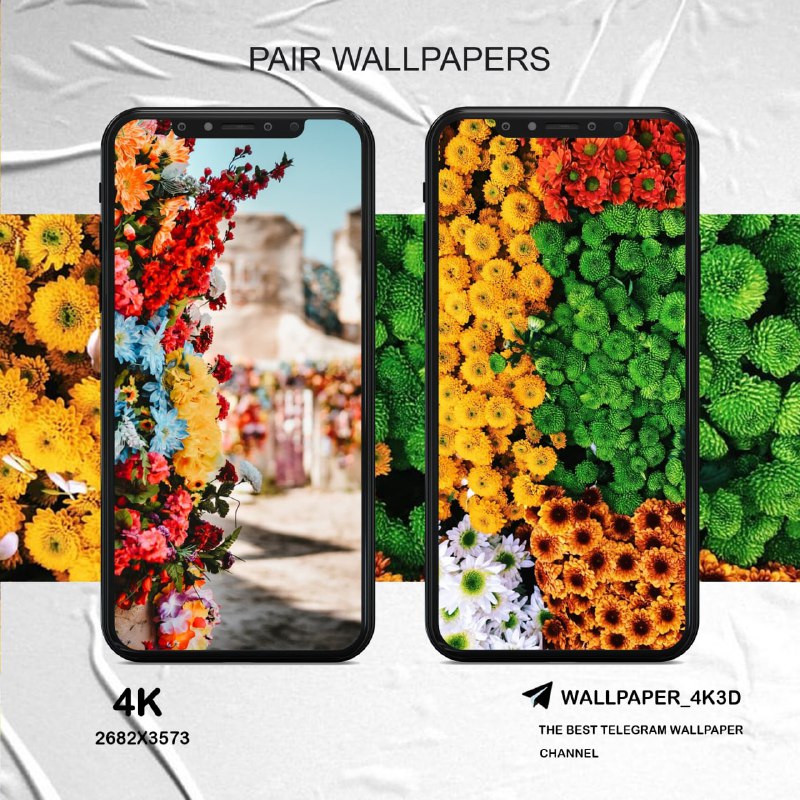 wallpaper_4k3d@telegram on Pinno: #Pair #Flower #Colorful #4K @Wallpaper...