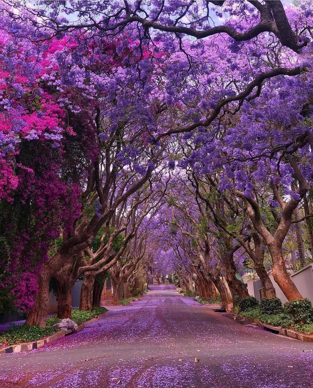 living-destinations-instagram-on-pinno-how-do-you-say-purple-in-your