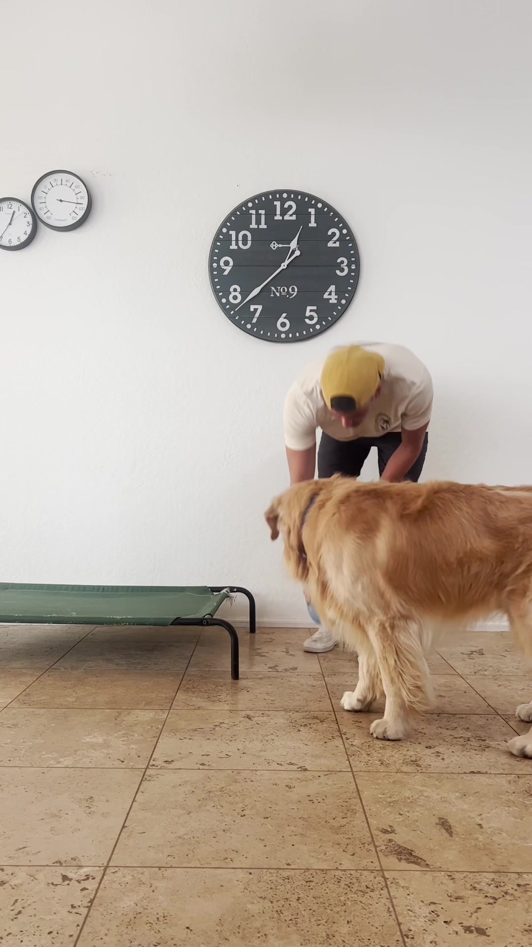 thegoldenbros_t.btiktok on Pinno We love Unruly Dog Food and so do