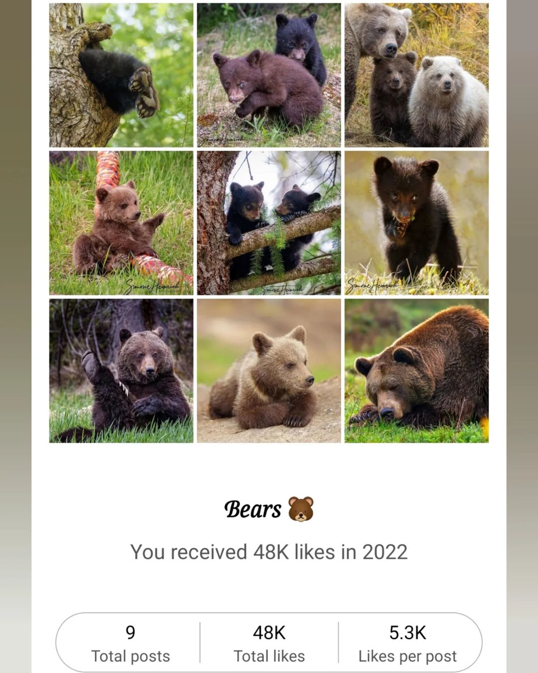 welovebears@instagram on Pinno: My dear bear friends, i wanna say 𝐓𝐇𝐀𝐍...