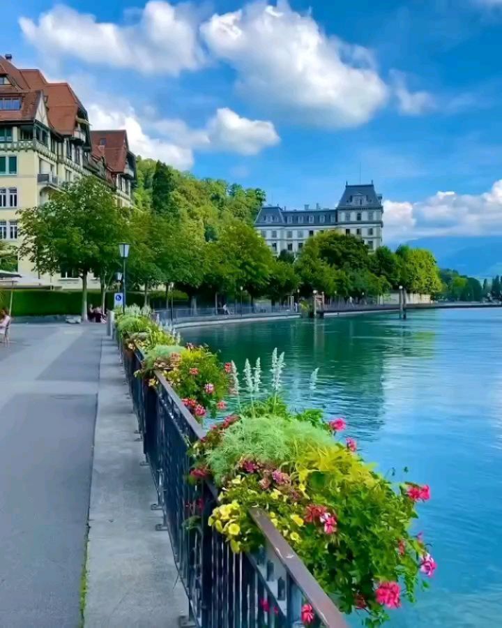 Swissaway Instagram On Pinno Switzerland Amir Asani Instagram